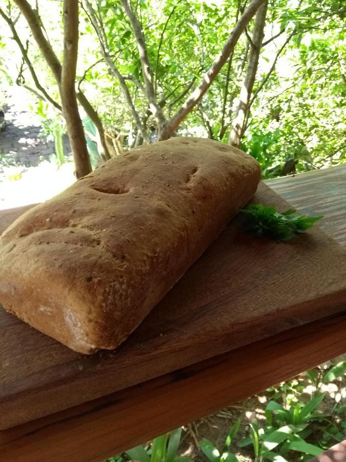 Pousada Recanto Devas Κάμπο Φρίο Εξωτερικό φωτογραφία